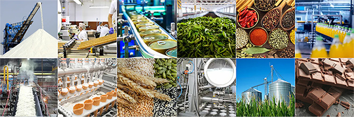 Magnetic Materials in Food Processing