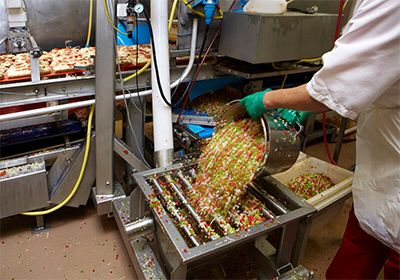 Magnetic Materials in Food Processing